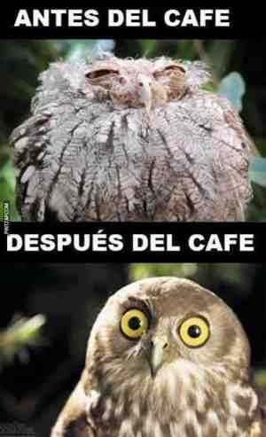 Antes y después del café
