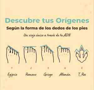 Descubre tus orígenes según la forma de los dedos de los pies