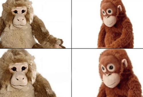 Ajá, ay no Ajá, ay no