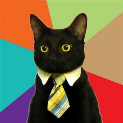 Business Cat Business Cat