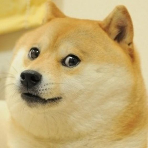 Doge Doge