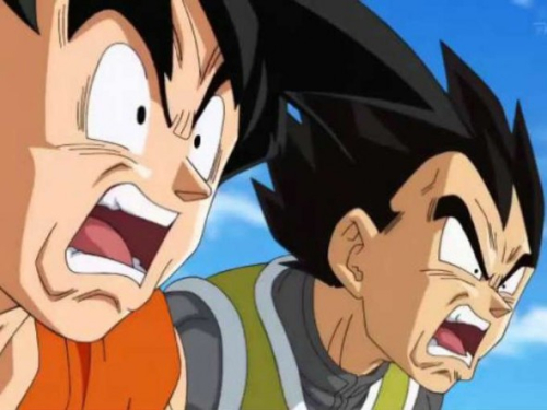 Goku y Vegeta WTF