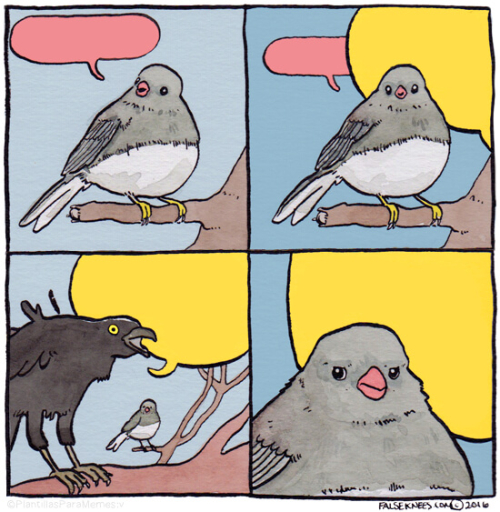 Pájaro y Cuervo Pájaro y Cuervo