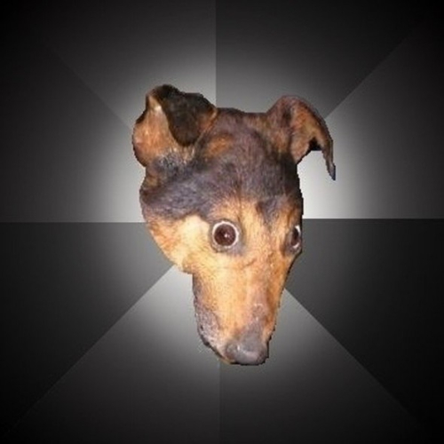 Perro depresivo Perro depresivo
