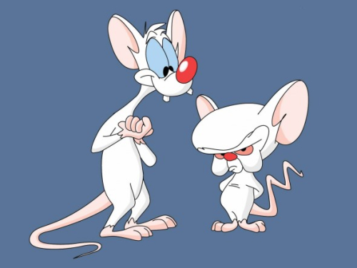 Pinky y Cerebro