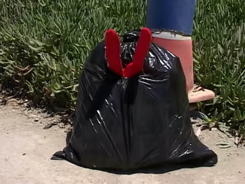 Por razones que desconozco, terminé adentro de esta bolsa de basura Por razones que desconozco, terminé adentro de esta bolsa de basura