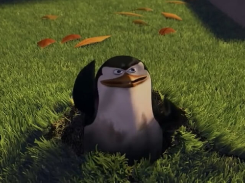 Tu no has visto nada Tu no has visto nada