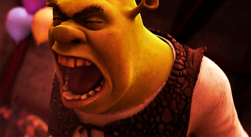 Wey nooo !!! Wey nooo !!!