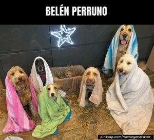 Belén perruno