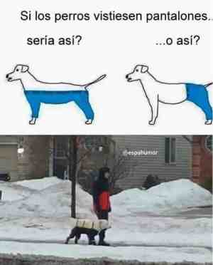 Si los perros vistiesen pantalones sería así?