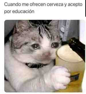 Cuando me ofrecen cerveza y acepto por educación