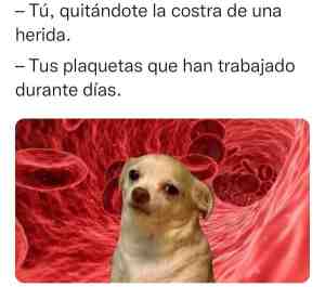 Tú quitándote la costra de una herida