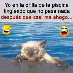 Yo en la orilla de la piscina fingiendo que no pasa nada después que casi me ahogo