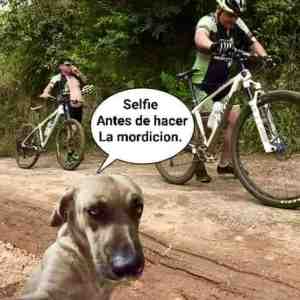 Selfie antes de hacer la mordición