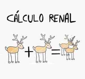 Cálculo renal
