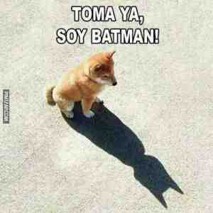 Toma ya, soy Batman!