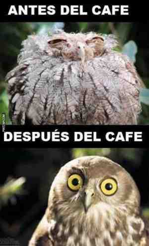 Antes y después del café