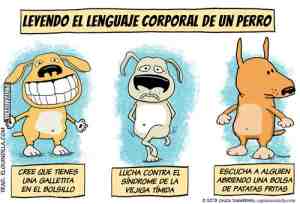 Leyendo el lenguaje corporal de un perro