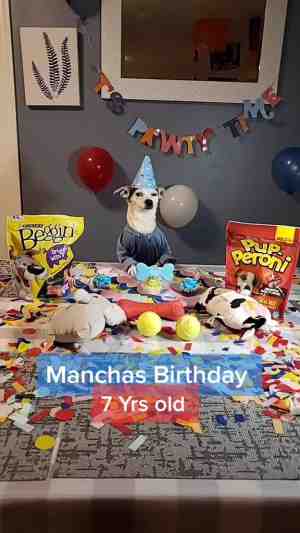 El 7 cumpleaños de Manchas