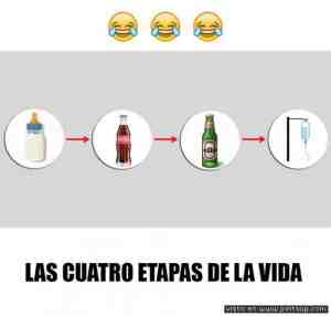 Las cuatro etapas de la vida