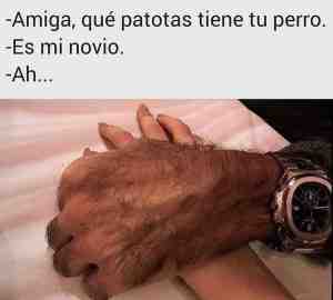 Amiga, qué patotas tiene tu perro