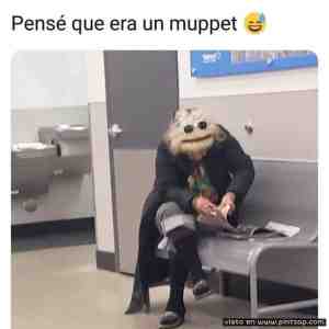 Pensé que era un muppet