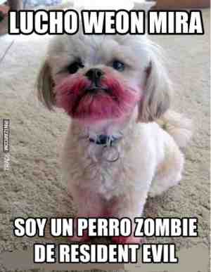 Soy un perro zombie de resident evil