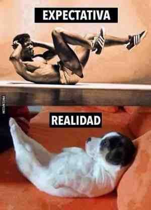 Expectativa y realidad