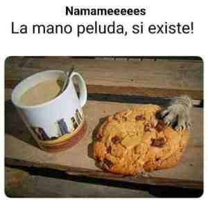 Namameeeees...La Mano Peluda; si existe weee, & es Gatuna.!