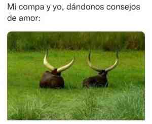 Mi compa y yo dándonos consejos de amor