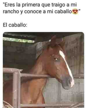 Eres la primera que traigo a mi rancho y conoce a mi caballo