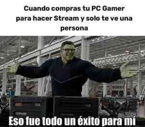 Cuando compras tu pc gamer para hacer stream y solo te ve una persona