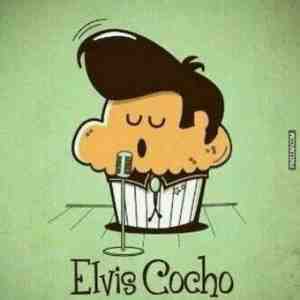 Elvis Cocho