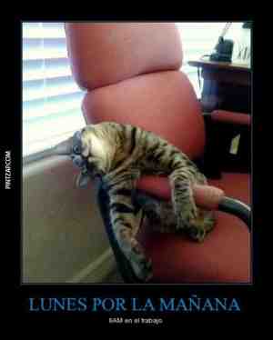 Lunes por la mañana