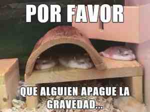 Por favor que alguien apague la gravedad