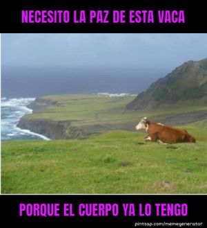 Necesito la paz de esta vaca porque el cuerpo ya lo tengo