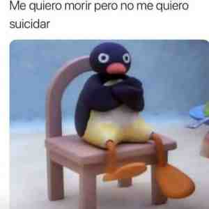 Me quiero morir pero no me quiero suicidar