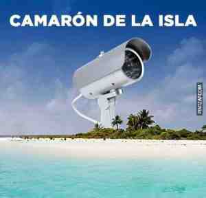 Camarón de la isla