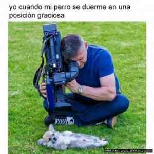 Yo cuando mi perro se duerme en una posición graciosa