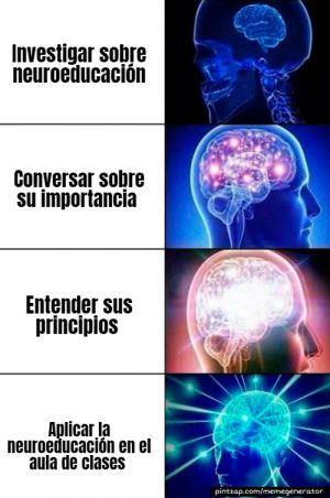 neuroeducación