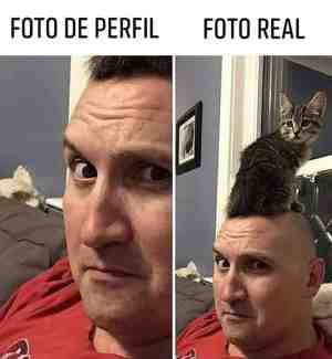 Su foto de perfil