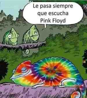 Le pasa siempre que escucha Pink Floyd
