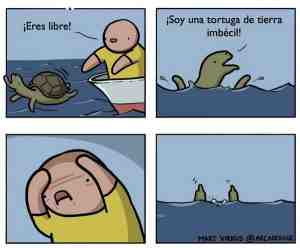 Soy una tortuga de tierra imbécil