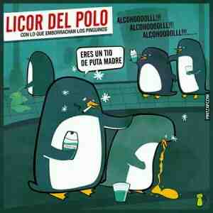 Licor del polo