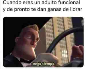 Cuando eres un adulto funcional y de pronto te dan ganas de llorar