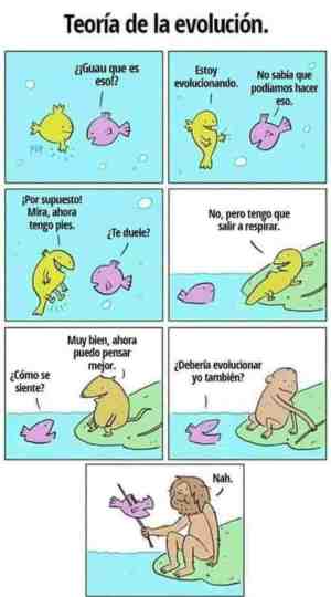 Teoría de la evolución