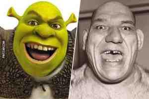 Parecidos razonables, Shrek