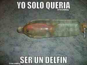 Yo solo quería... Ser un Delfín...