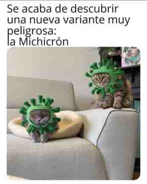 La michicrón