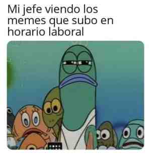 Mi jefe viendo los memes que subo en horario laboral